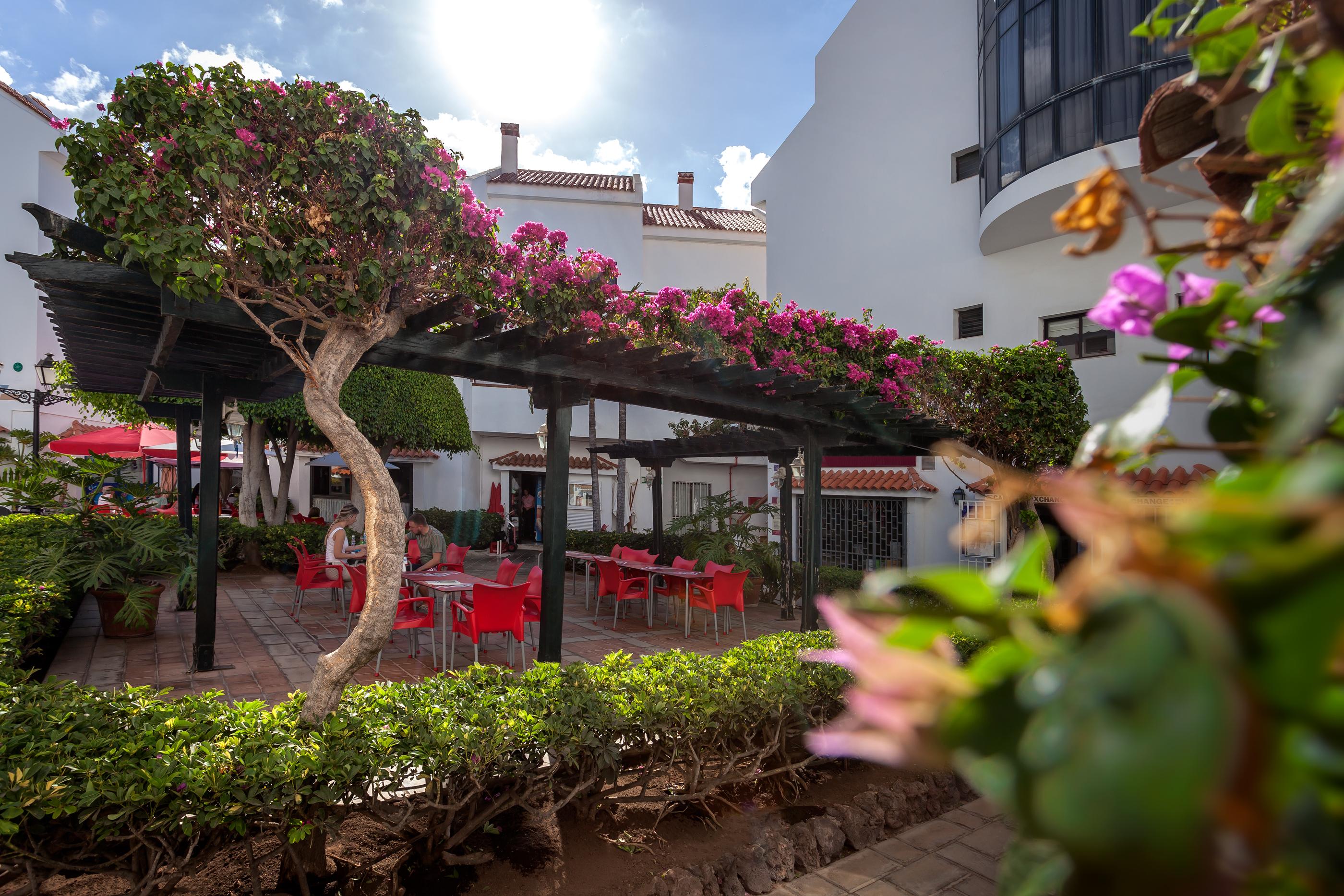 Apartamentos Hg Cristian Sur Los Cristianos  Kültér fotó